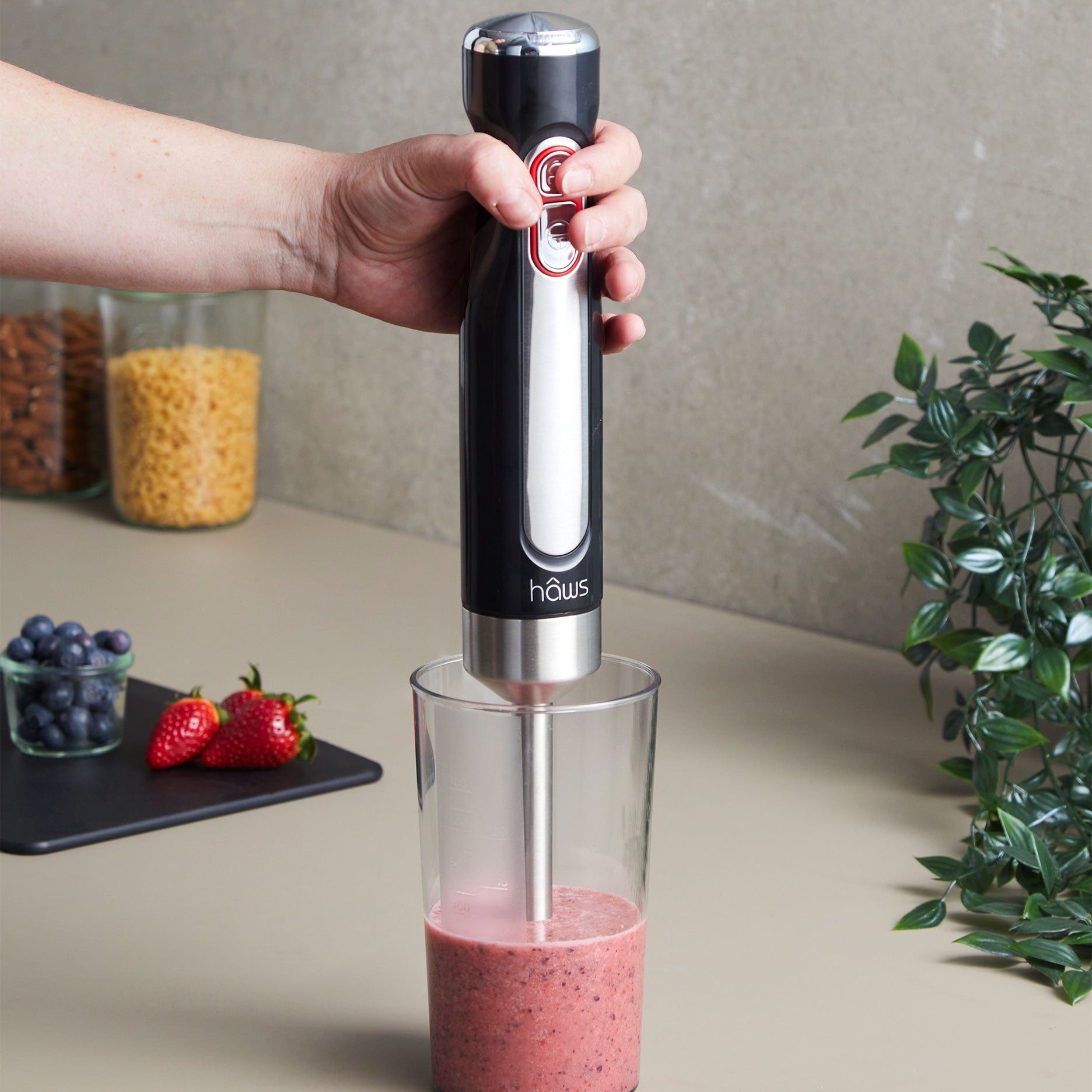 Kabelloser Stabmixer